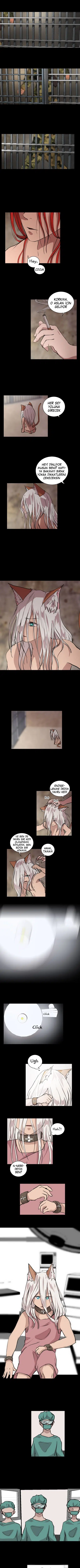 Fluffy Boyfriend - Bölüm 13 Sayfa 2