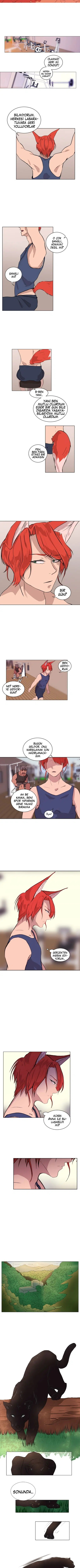 Fluffy Boyfriend - Bölüm 13 Sayfa 5