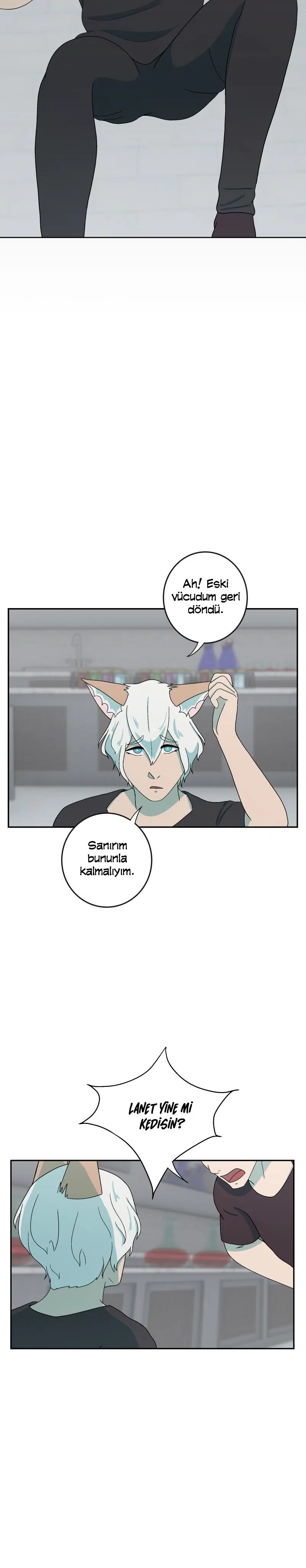 Fluffy Boyfriend - Bölüm 155 Sayfa 14