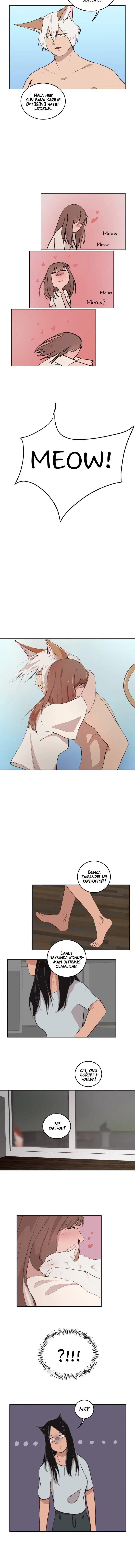 Fluffy Boyfriend - Bölüm 28 Sayfa 7