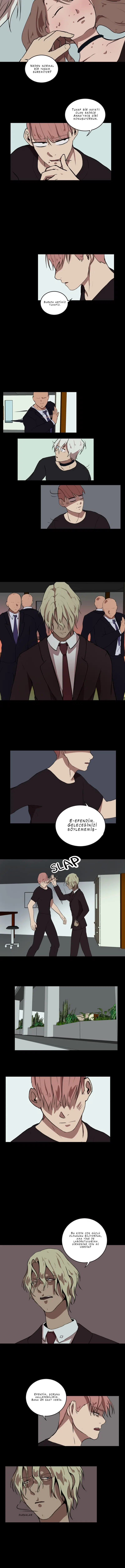 Fluffy Boyfriend - Bölüm 41 Sayfa 5