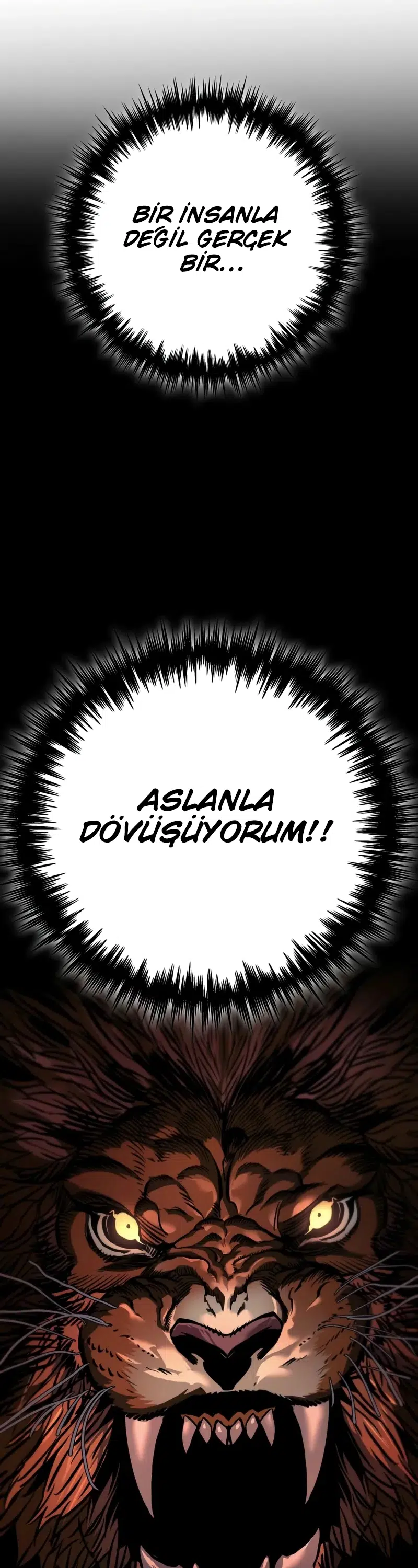 Gezgin Şövalyenin Hayatta Kalma Kılavuzu - Bölüm 6 Sayfa 5
