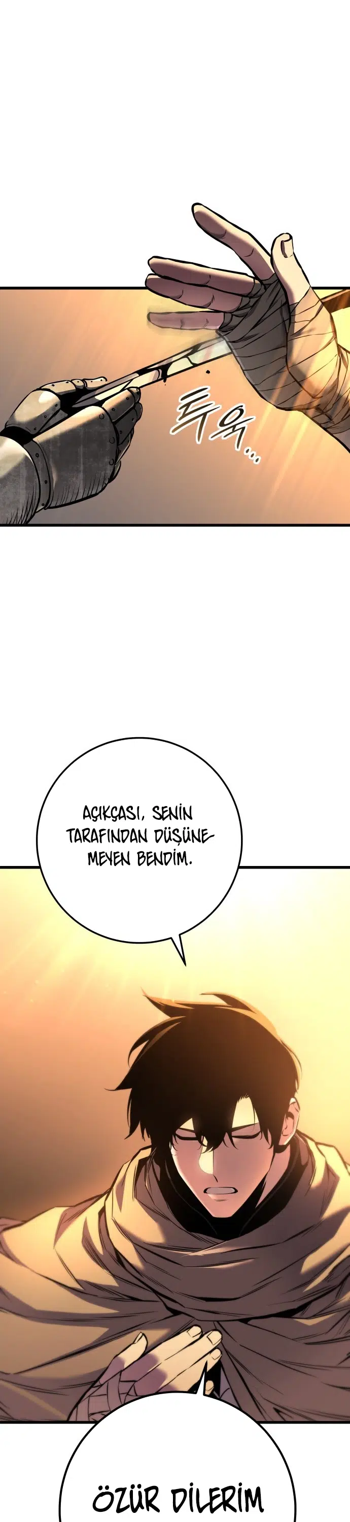 Gezgin Şövalyenin Hayatta Kalma Kılavuzu - Bölüm 16 Sayfa 13