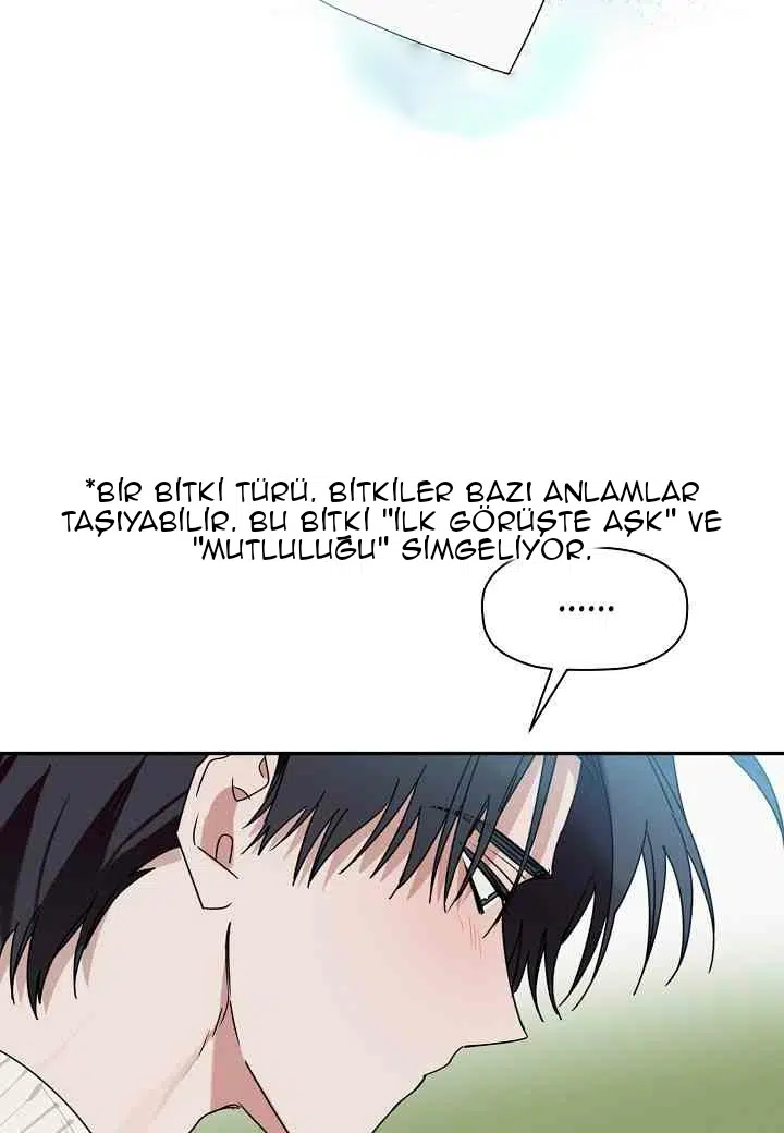 Bir Çiçeğe Tüm Kalbim - Bölüm 16 Sayfa 40