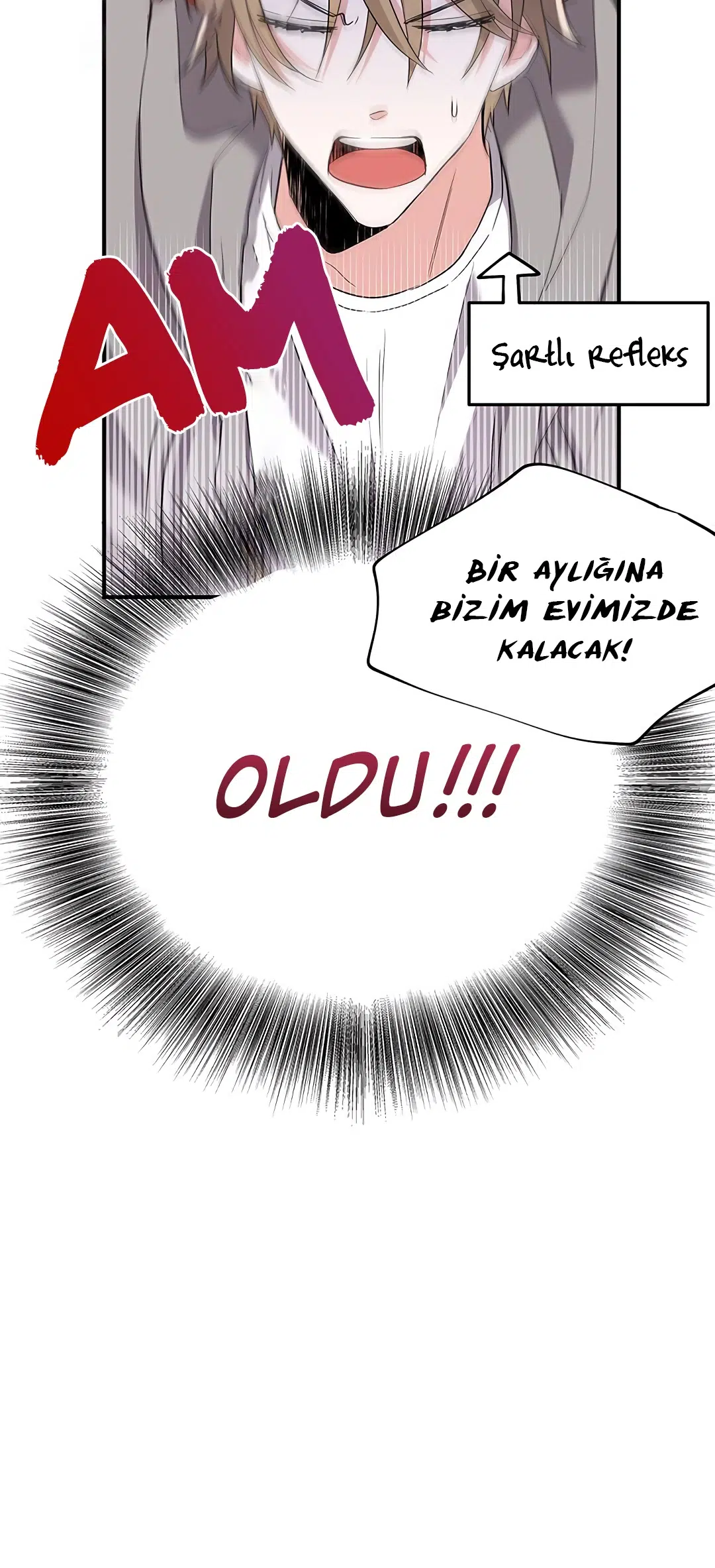 Yeni Gelin Oyunu - Bölüm 6 Sayfa 5