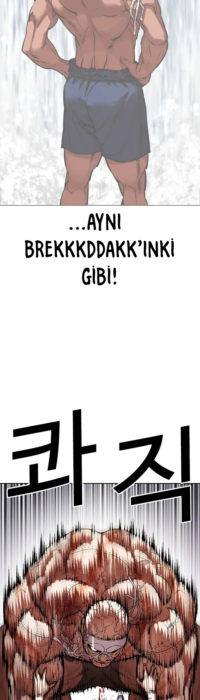 Görünüşçülük - Bölüm 471 Sayfa 66
