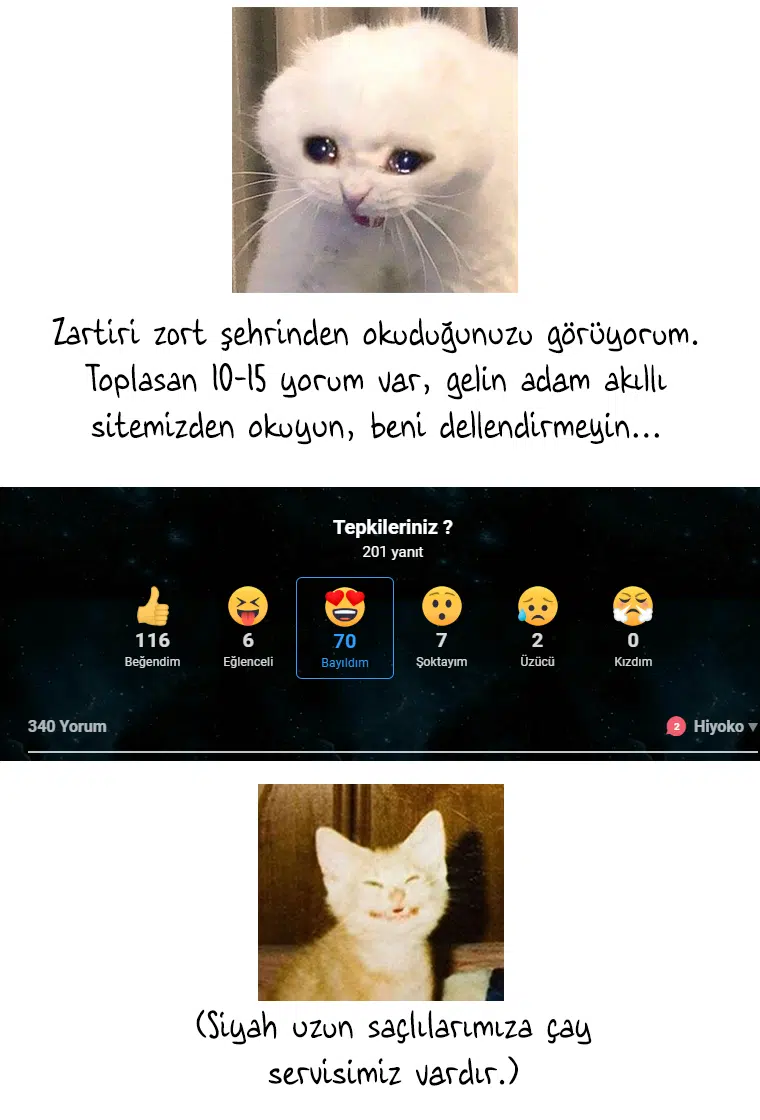 Görünüşçülük - Bölüm 488 Sayfa 54