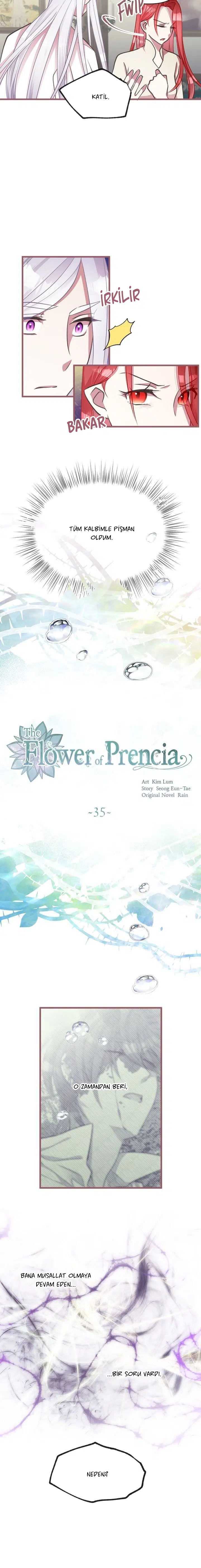 The Flower Of Francia - Bölüm 35 Sayfa 7