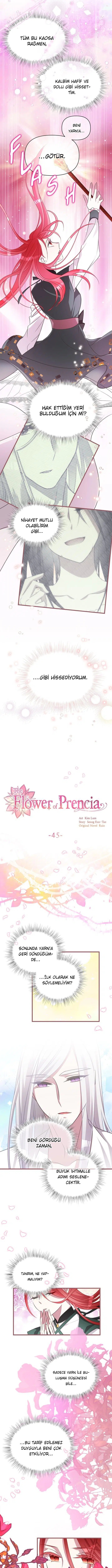 The Flower Of Francia - Bölüm 45 Sayfa 6