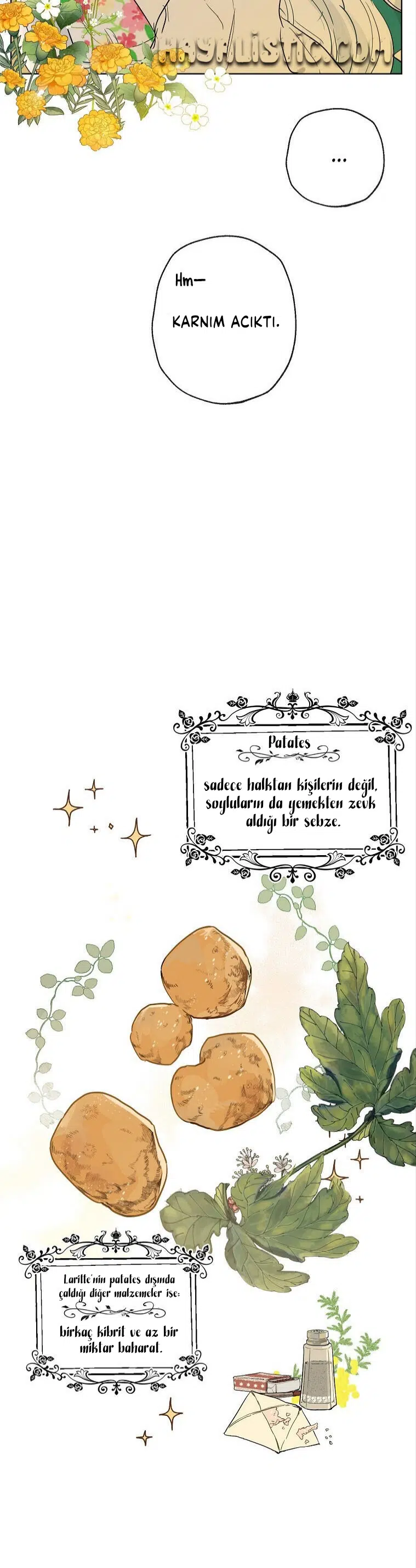 Kont’un Gayrimeşru Çocuğu Evlenirse - Bölüm 2 Sayfa 24