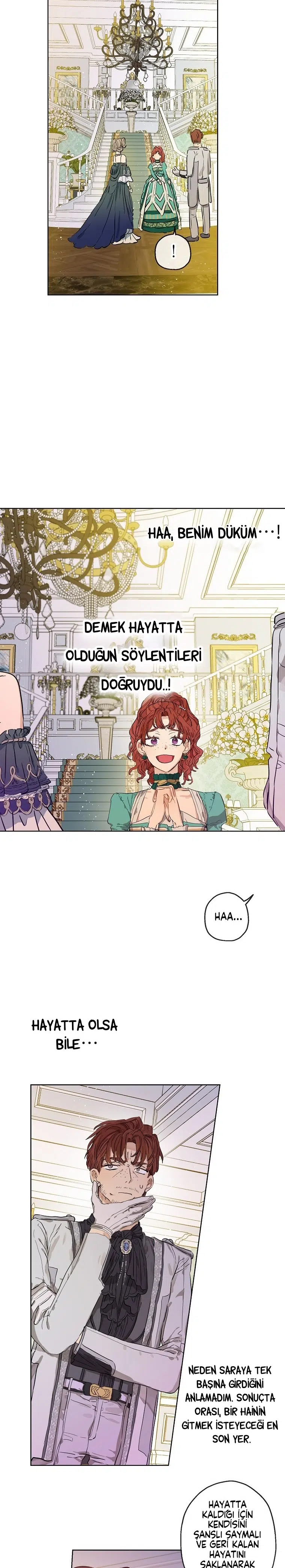 Kont’un Gayrimeşru Çocuğu Evlenirse - Bölüm 22 Sayfa 12