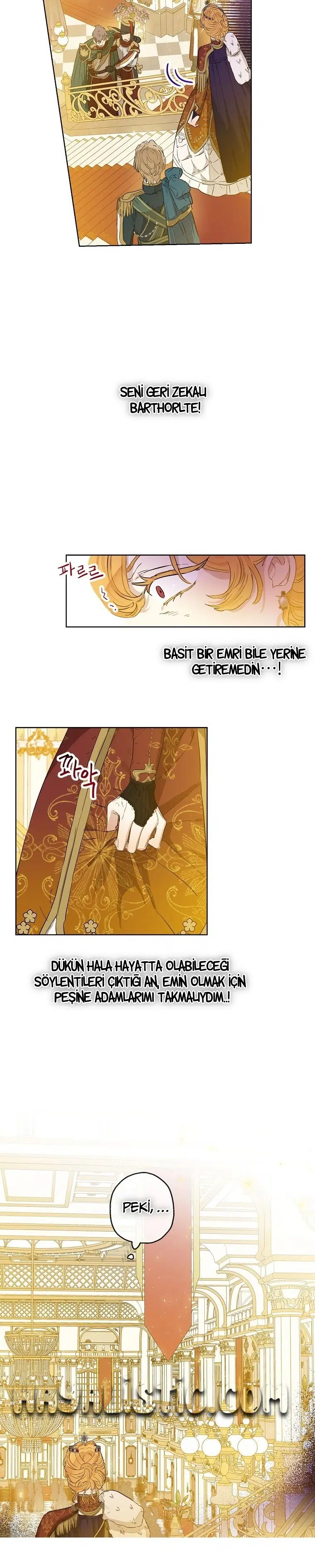 Kont’un Gayrimeşru Çocuğu Evlenirse - Bölüm 24 Sayfa 3