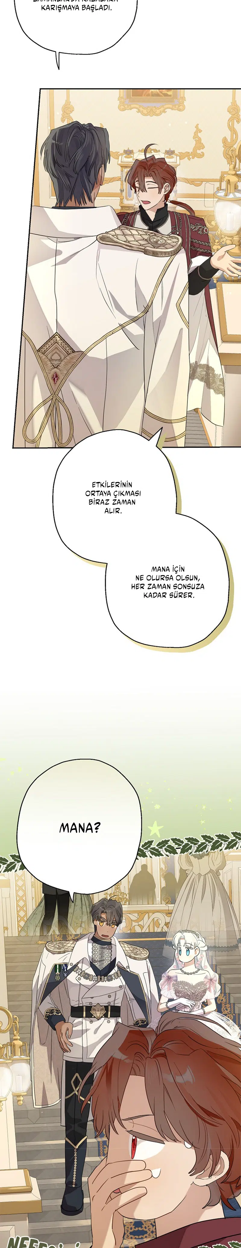 Kont’un Gayrimeşru Çocuğu Evlenirse - Bölüm 73 Sayfa 12