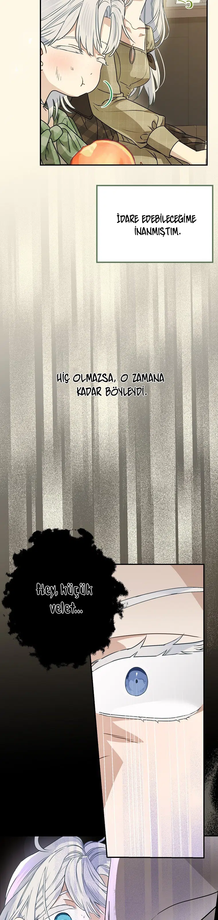 Kont’un Gayrimeşru Çocuğu Evlenirse - Bölüm 88 Sayfa 17