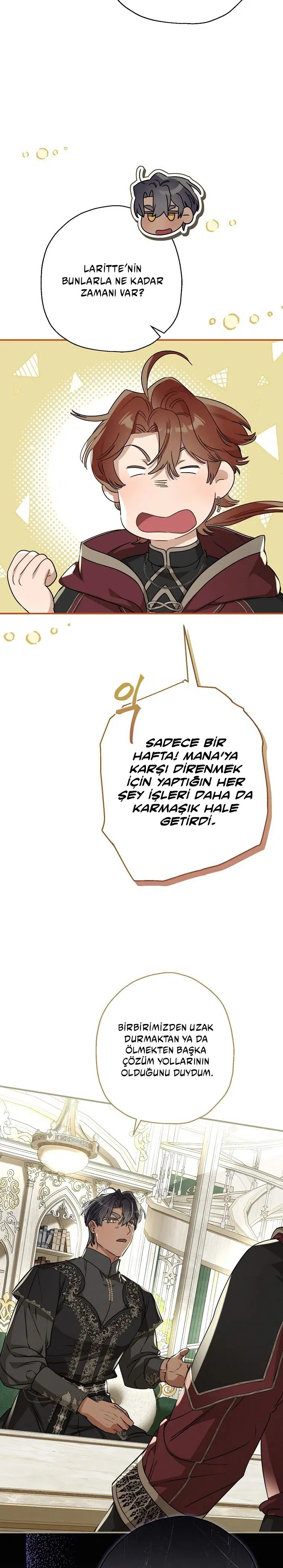 Kont’un Gayrimeşru Çocuğu Evlenirse - Bölüm 91 Sayfa 15