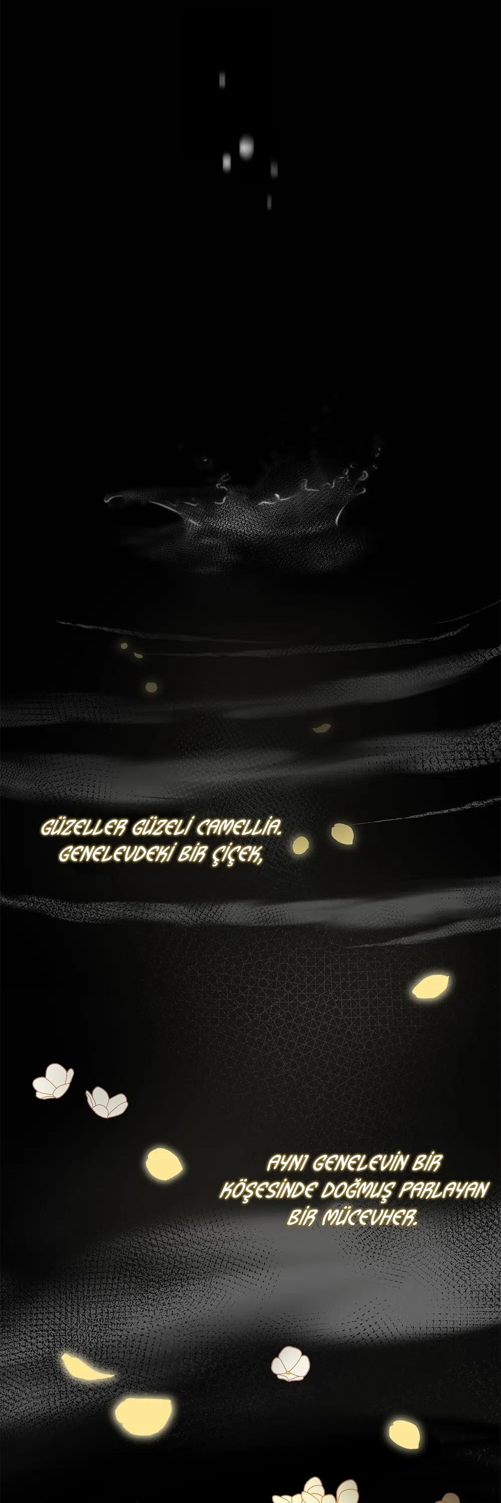 Kamelya’nın İzinde - Bölüm 0 Sayfa 11