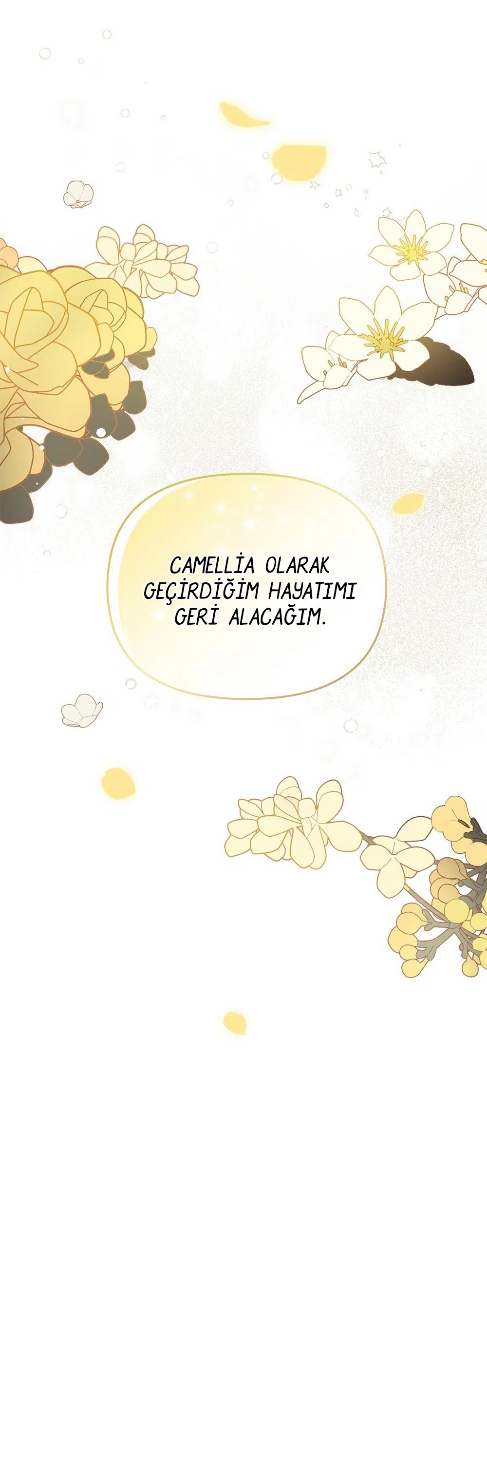 Kamelya’nın İzinde - Bölüm 0 Sayfa 30
