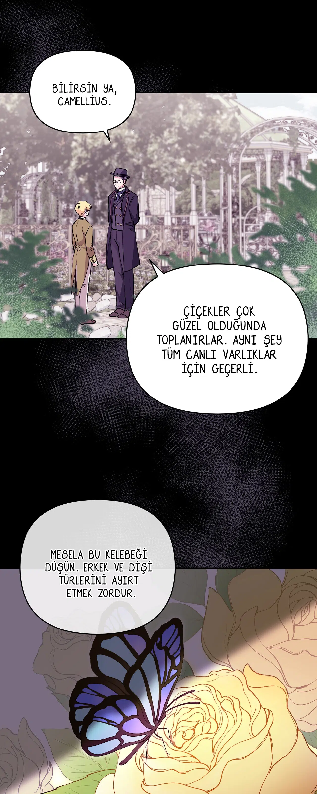 Kamelya’nın İzinde - Bölüm 11 Sayfa 7