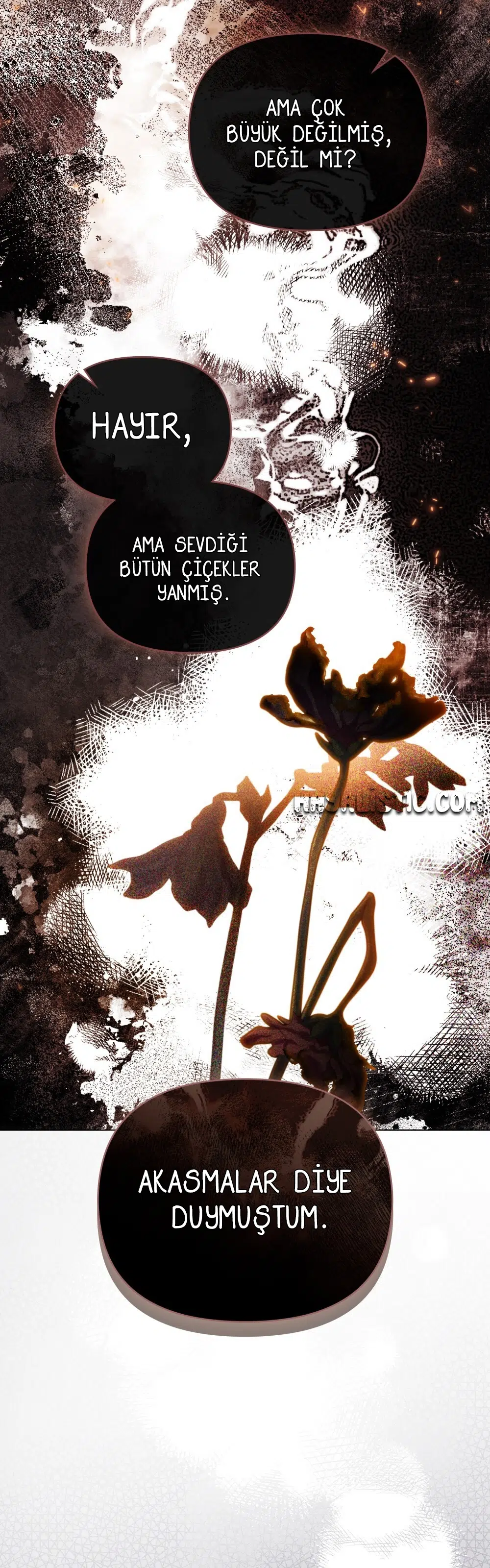 Kamelya’nın İzinde - Bölüm 139 Sayfa 38