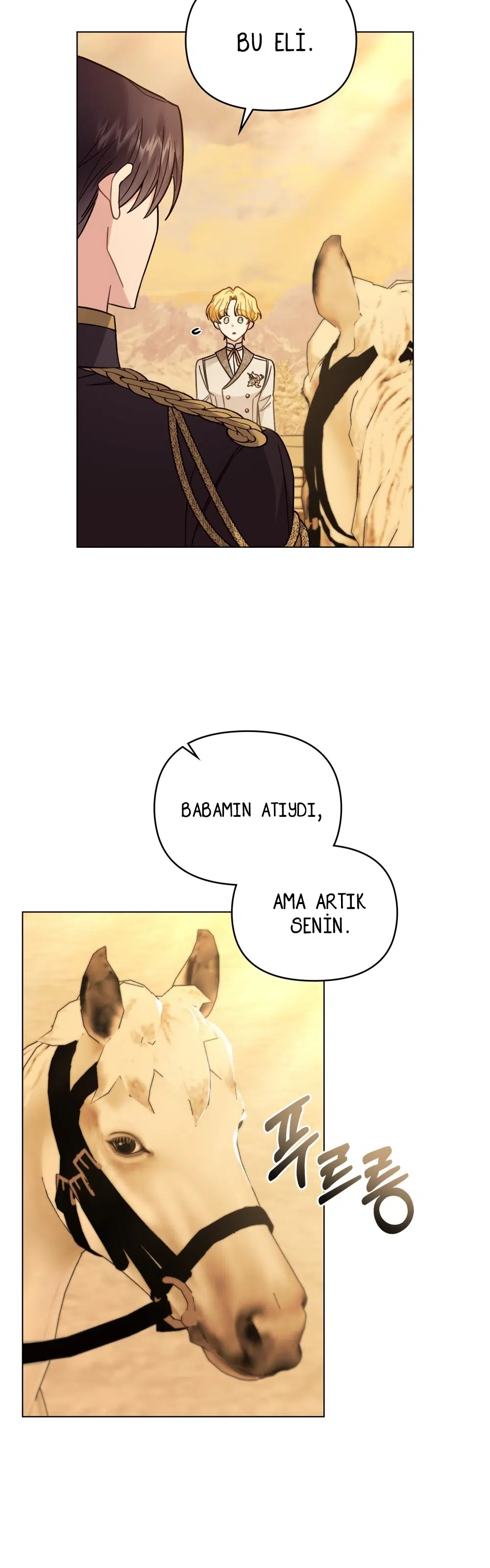 Kamelya’nın İzinde - Bölüm 71 Sayfa 33
