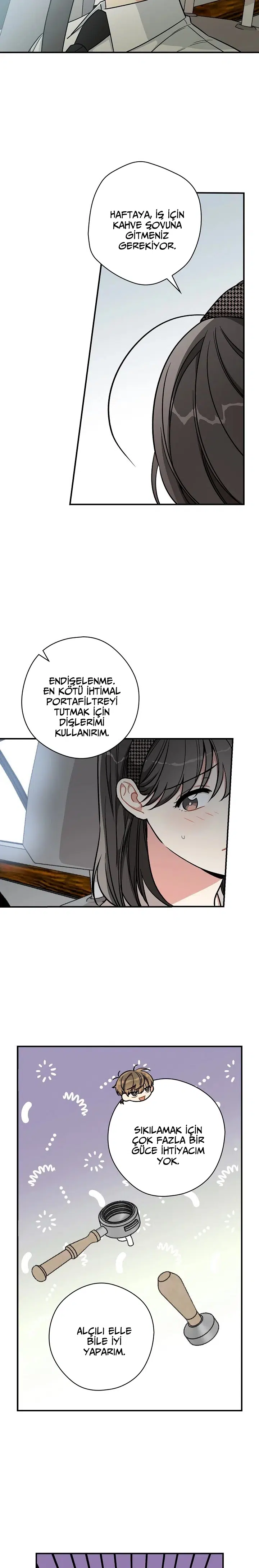 İlkbahar Kahvesi - Bölüm 27 Sayfa 3