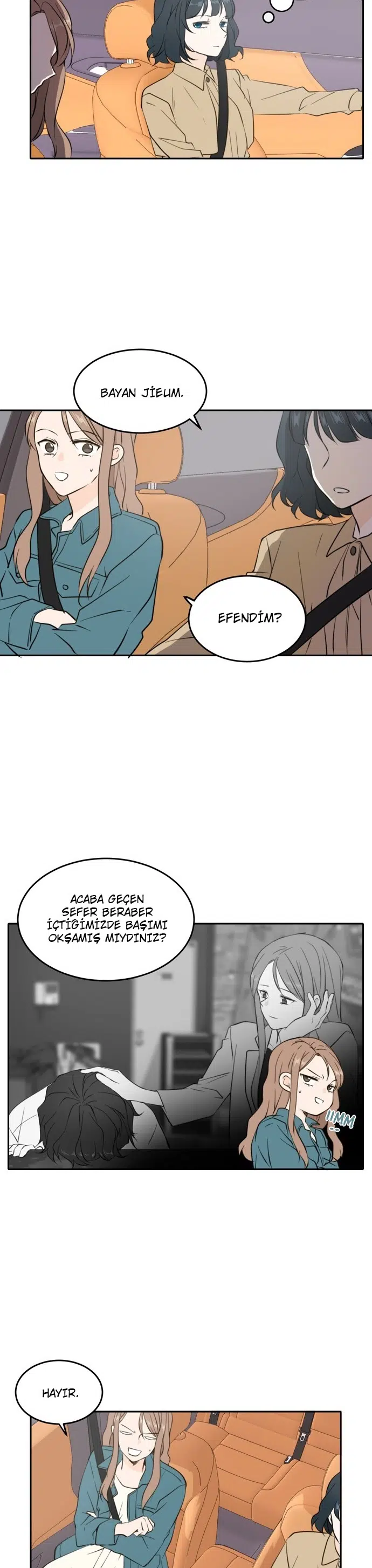 Hayatlar Boyu Süren Bağ - Bölüm 36 Sayfa 12