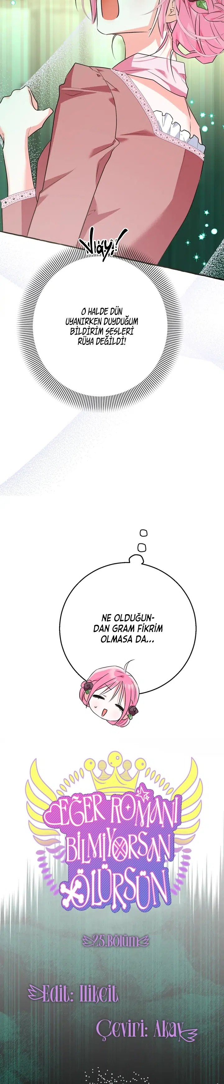 Senaryoyu Bilmeyen Hayatta Kalmaz - Bölüm 25 Sayfa 6