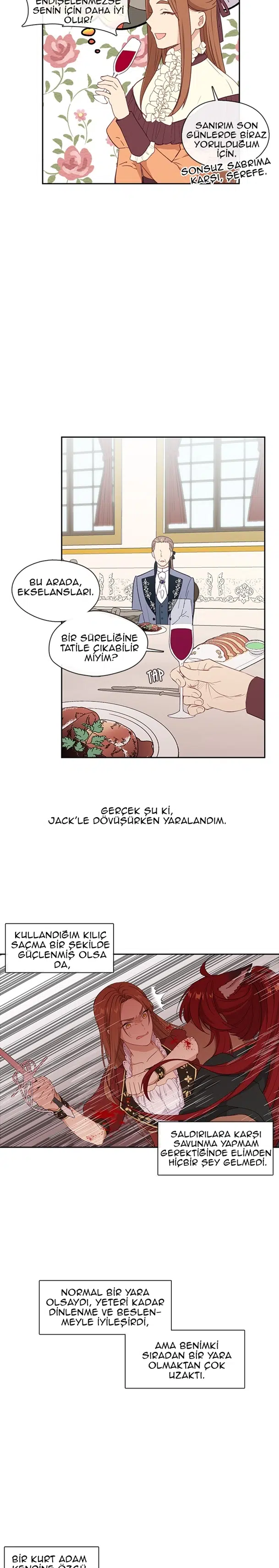 Kötü Kadının Şerrinden Sakının - Bölüm 25 Sayfa 7