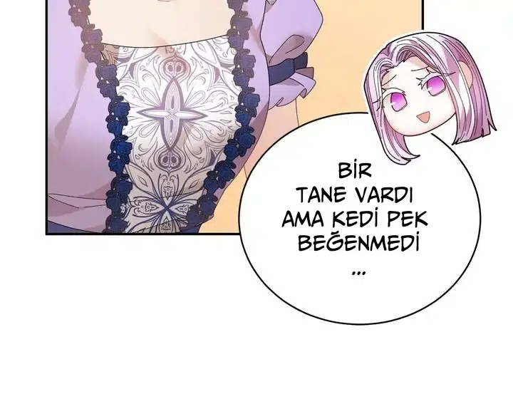 İmparatoriçe Olmak İstemiyorum! - Bölüm 127 Sayfa 31