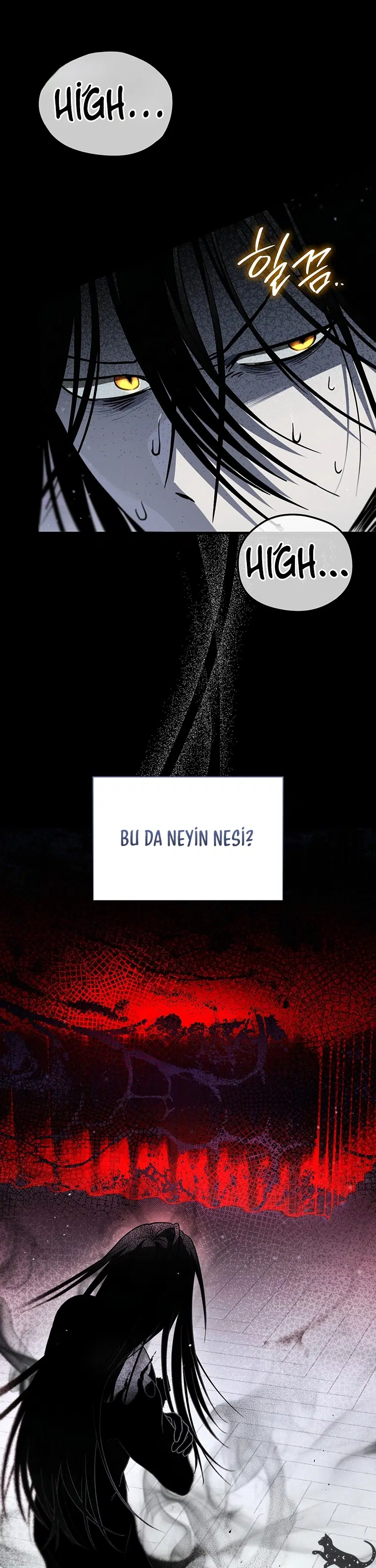 Reenkarne Oldum Derken Kendimi Bir Korku Hikayesinin İçinde Buldum - Bölüm 13 Sayfa 5