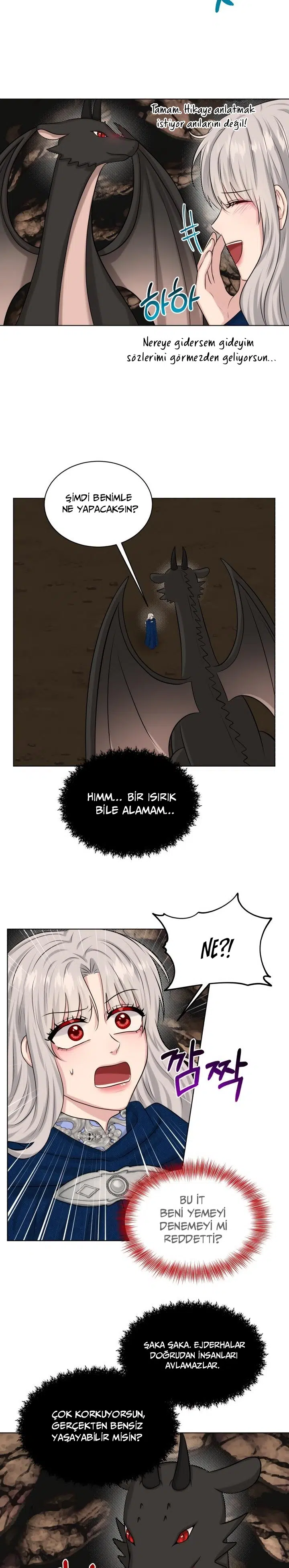 Geçmişim Peşimi Bırakmıyor - Bölüm 81 Sayfa 13