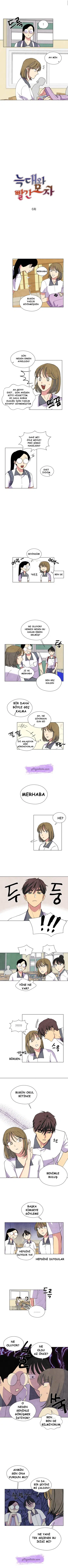 Wolf and Red Hat - Bölüm 6 Sayfa 2