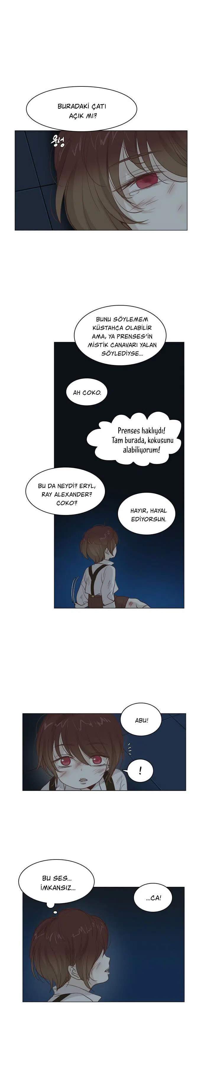 Sarayın Minik Çöpçatanı - Bölüm 14 Sayfa 17