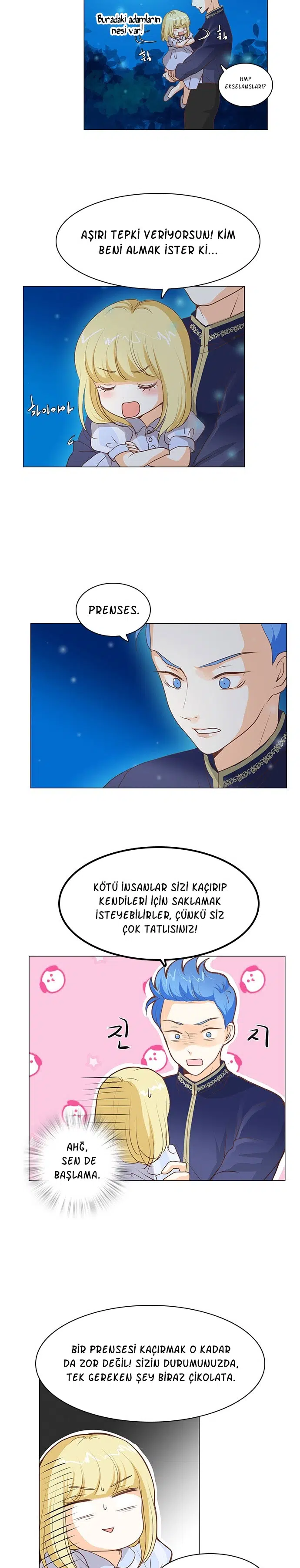 Sarayın Minik Çöpçatanı - Bölüm 29 Sayfa 15