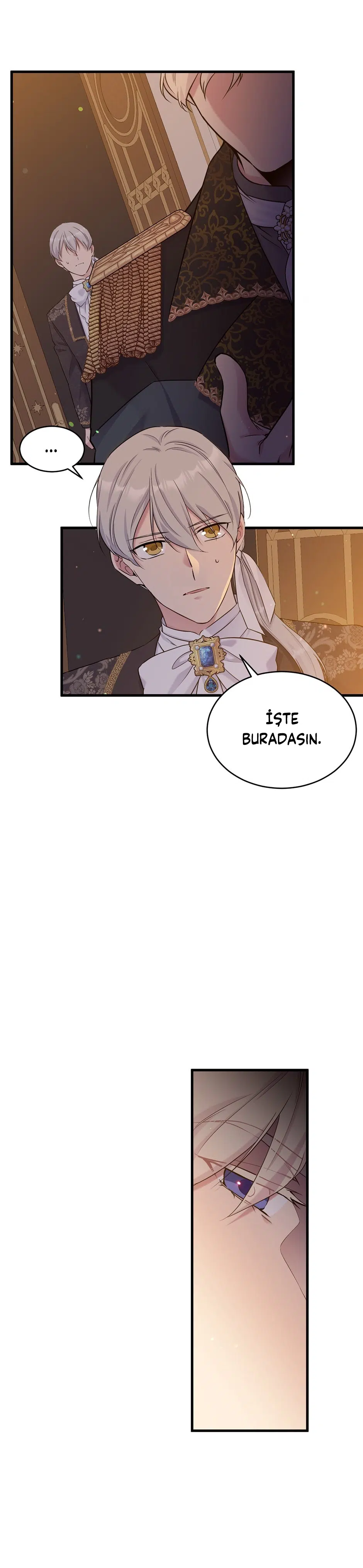 Bu Kez Sadece Rahat Yaşayacağım - Bölüm 100 Sayfa 15