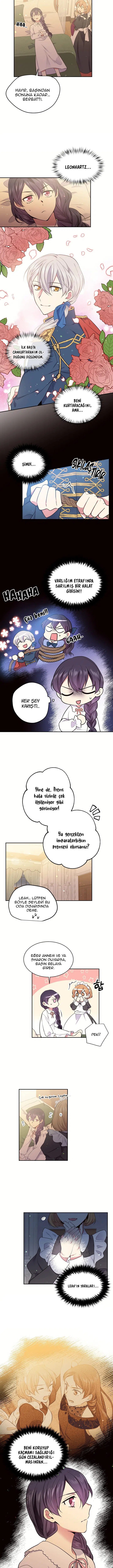 Bu Kez Sadece Rahat Yaşayacağım - Bölüm 34 Sayfa 6
