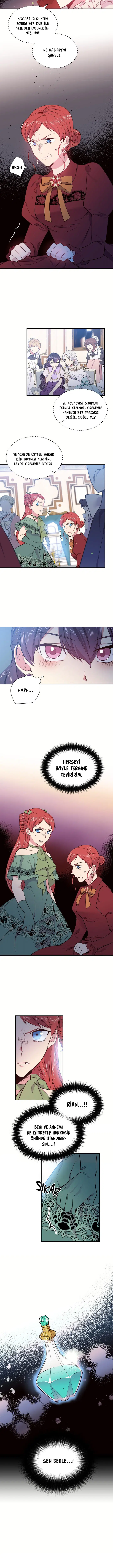 Bu Kez Sadece Rahat Yaşayacağım - Bölüm 36 Sayfa 6