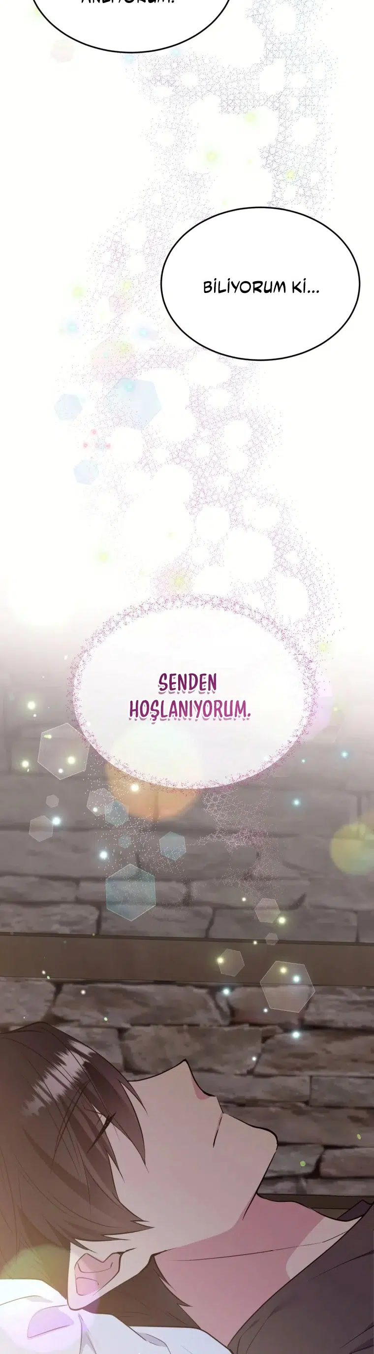 Bu Kez Sadece Rahat Yaşayacağım - Bölüm 83 Sayfa 17