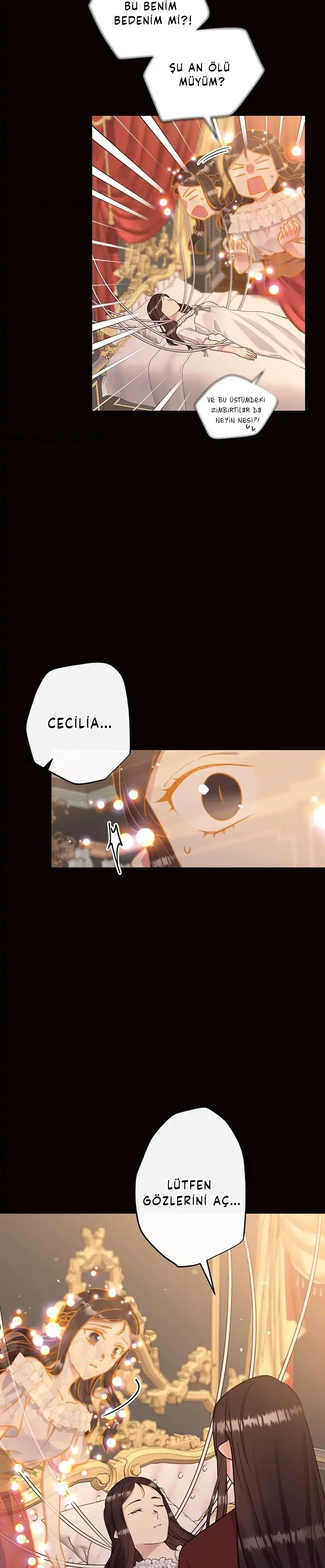 Bu Kez Sadece Rahat Yaşayacağım - Bölüm 96 Sayfa 3