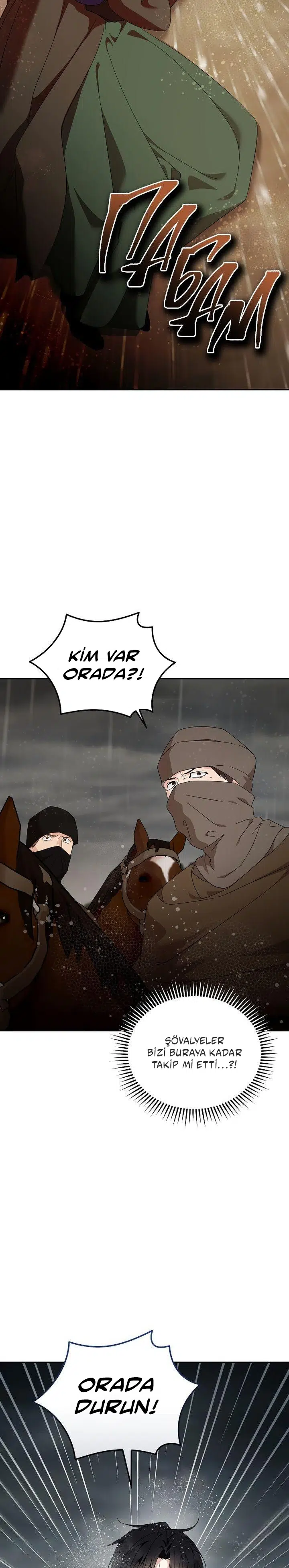 Kötülüğün İkinci Yaşamı - Bölüm 216 Sayfa 13