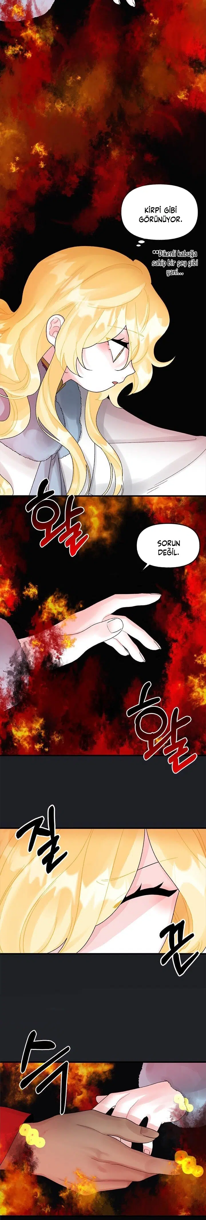 Çöplüğün İçindeki İmparatorluk Prensesi - Bölüm 44 Sayfa 15
