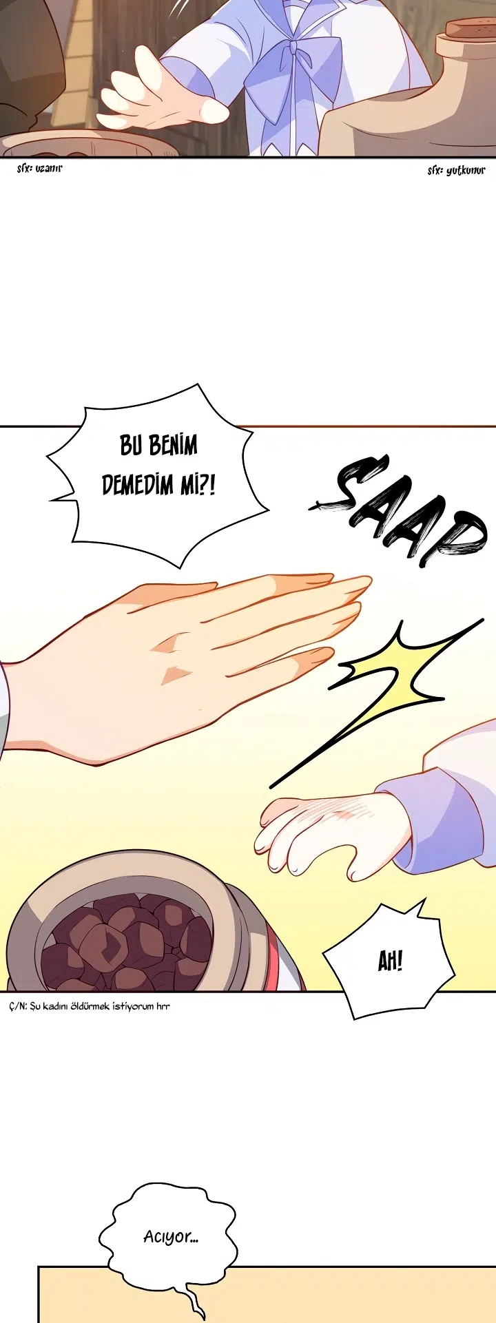 Büyük Dükün Kıymetli Kız Kardeşi - Bölüm 11 Sayfa 12