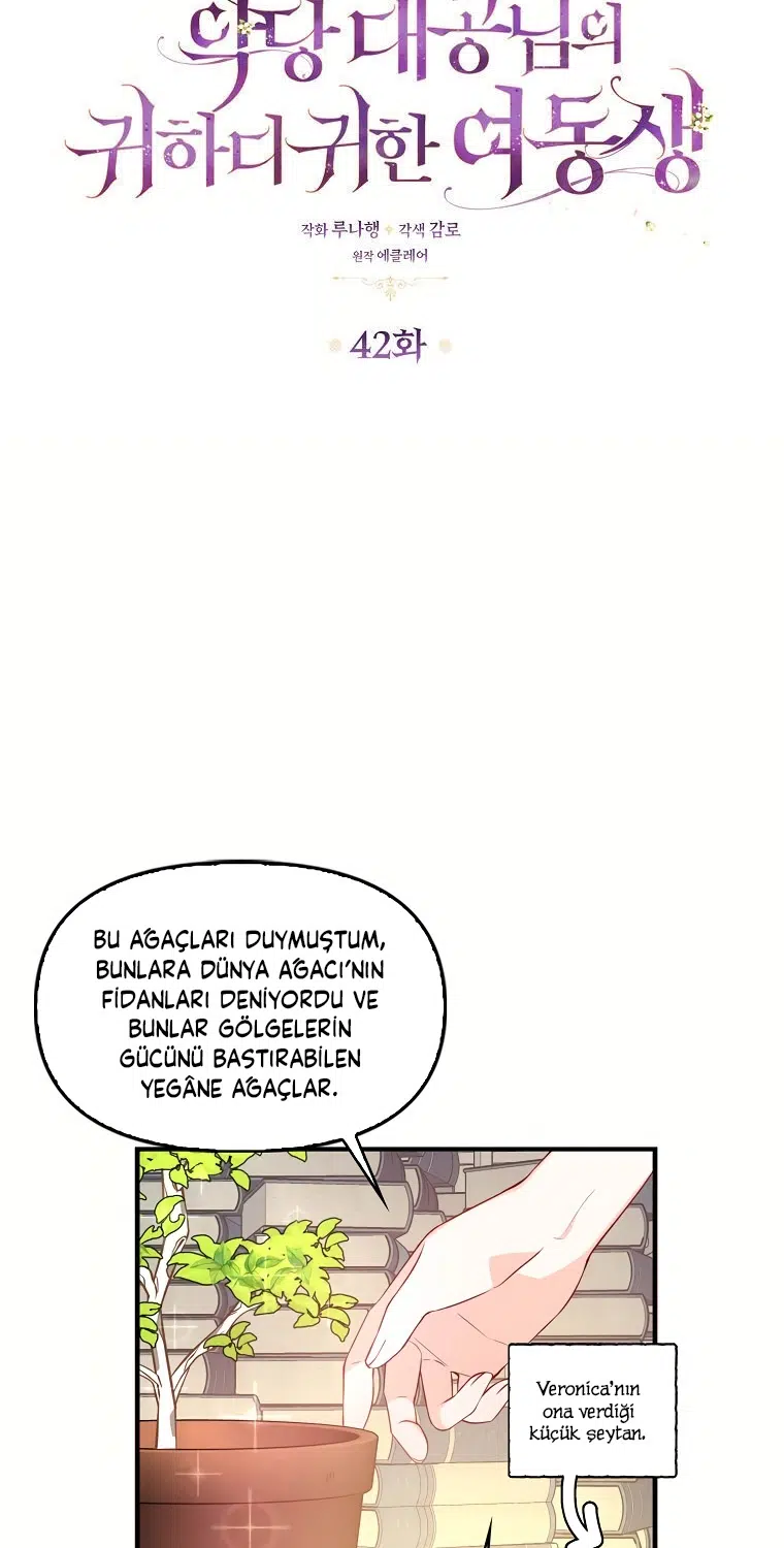 Büyük Dükün Kıymetli Kız Kardeşi - Bölüm 42 Sayfa 6