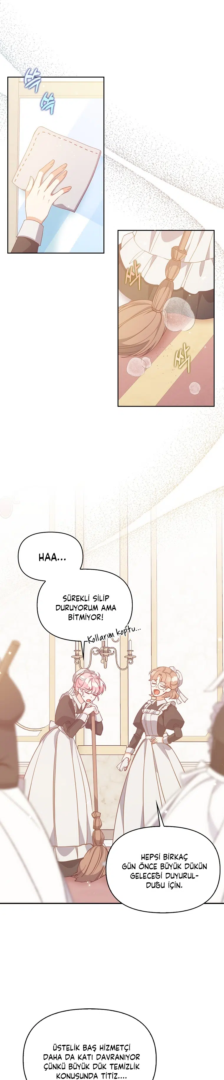 Büyük Dükün Kıymetli Kız Kardeşi - Bölüm 94 Sayfa 2