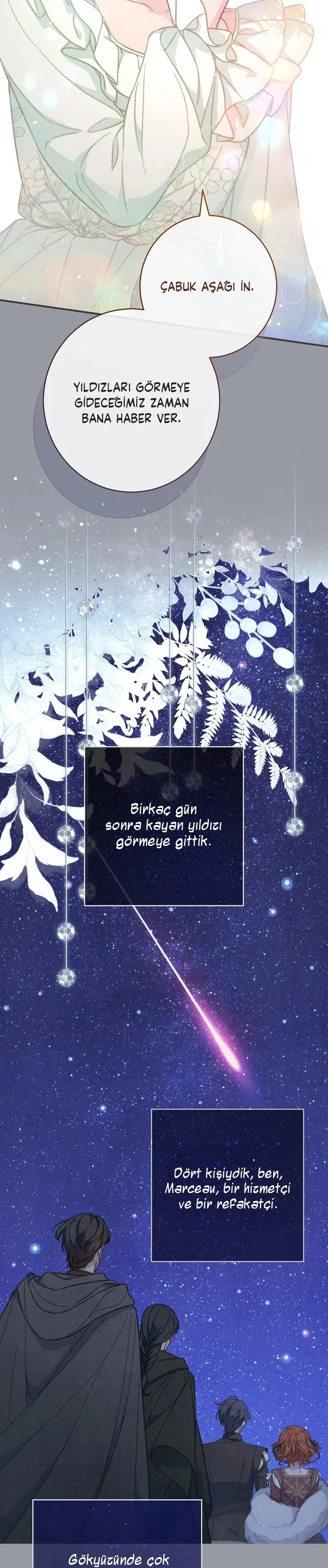 Anlaşmalı Evlilik - Bölüm 101 Sayfa 23