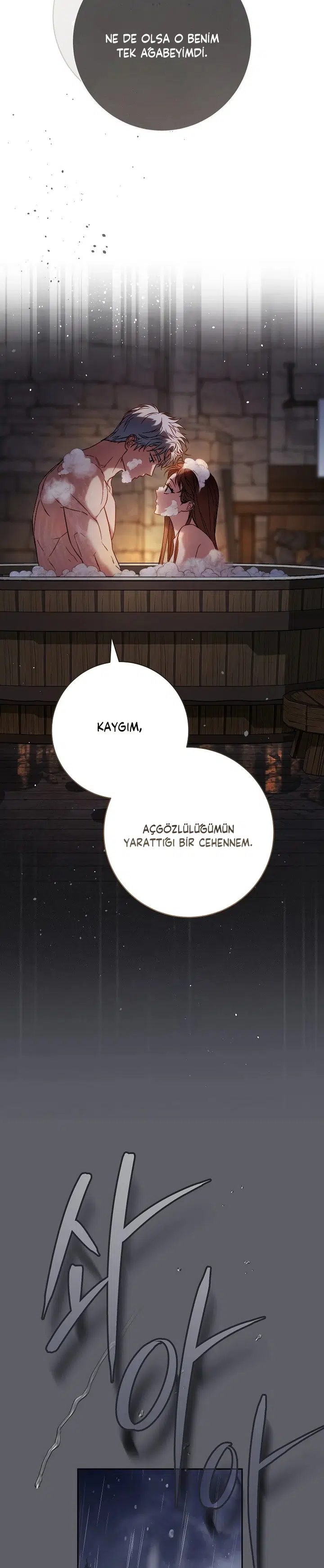 Anlaşmalı Evlilik - Bölüm 118 Sayfa 17