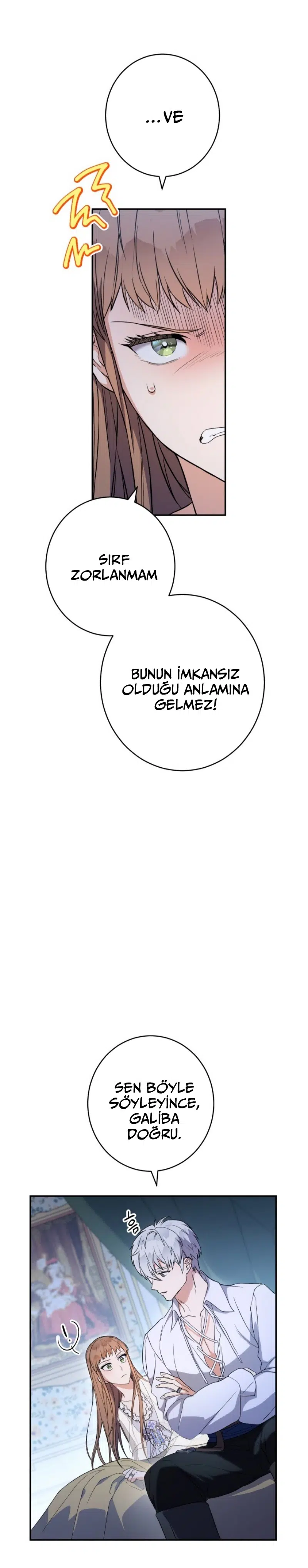 Anlaşmalı Evlilik - Bölüm 15 Sayfa 23