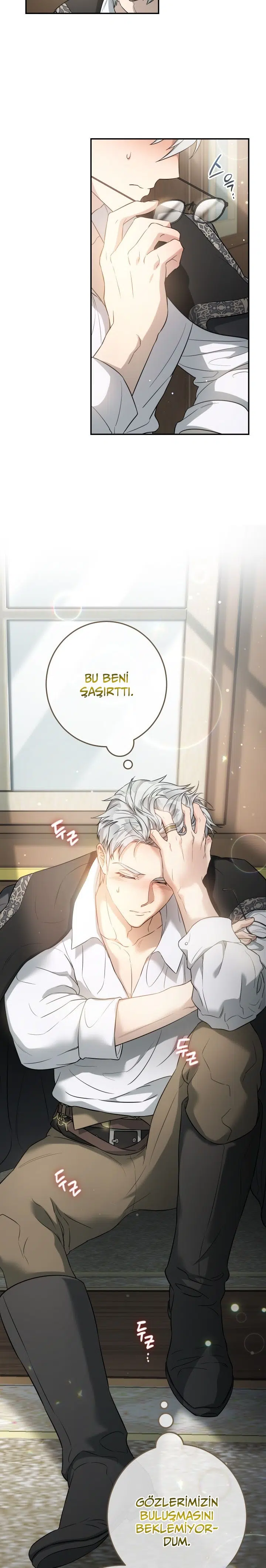 Anlaşmalı Evlilik - Bölüm 20 Sayfa 25
