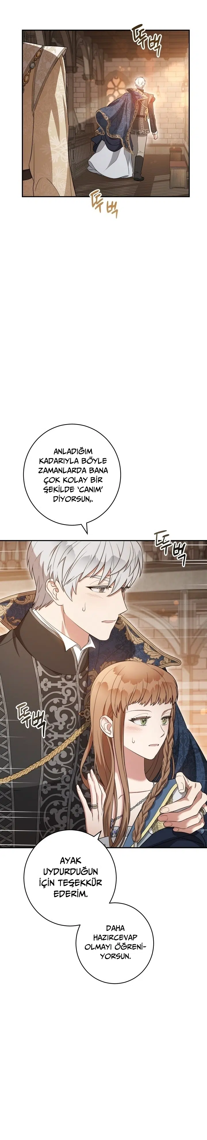 Anlaşmalı Evlilik - Bölüm 24 Sayfa 17