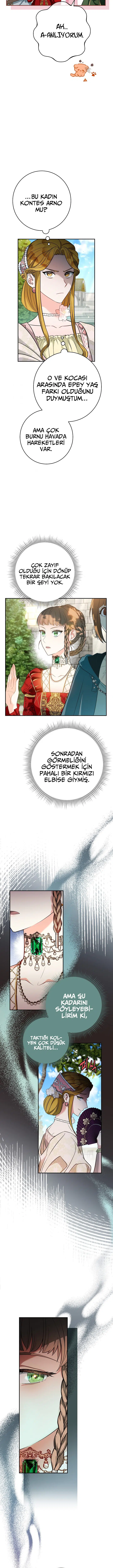 Anlaşmalı Evlilik - Bölüm 32 Sayfa 17